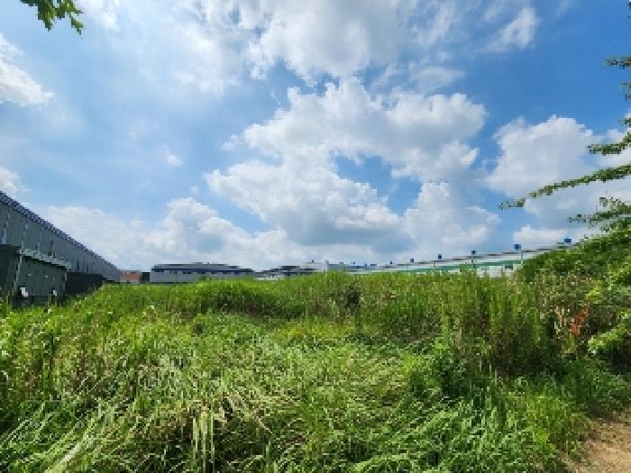 2025타경33609 법원경매 사진7 | 전남 나주시 공장용지 경매