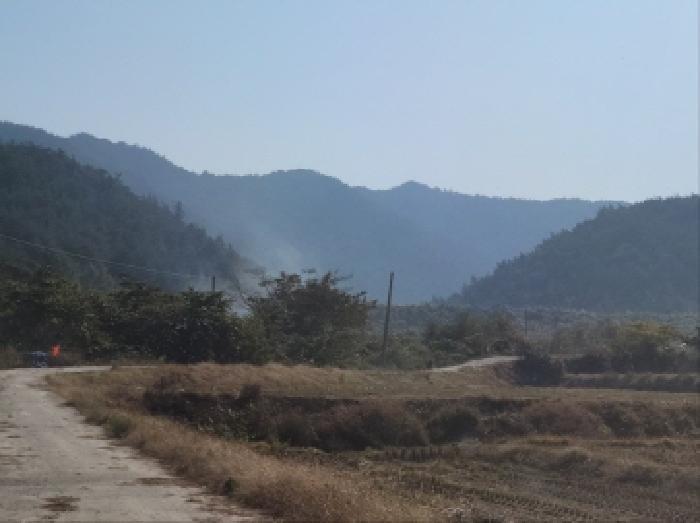 2025타경669 법원경매 사진3 | 전남 고흥군 임야 경매