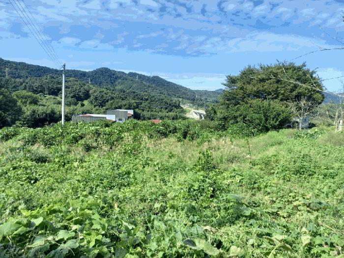 2025타경33901 법원경매 사진2 | 전남 장성군 전 경매