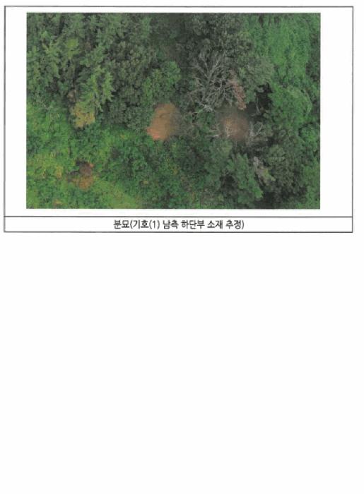 광주 남구 진월동 산82-12 임야 사진 3
