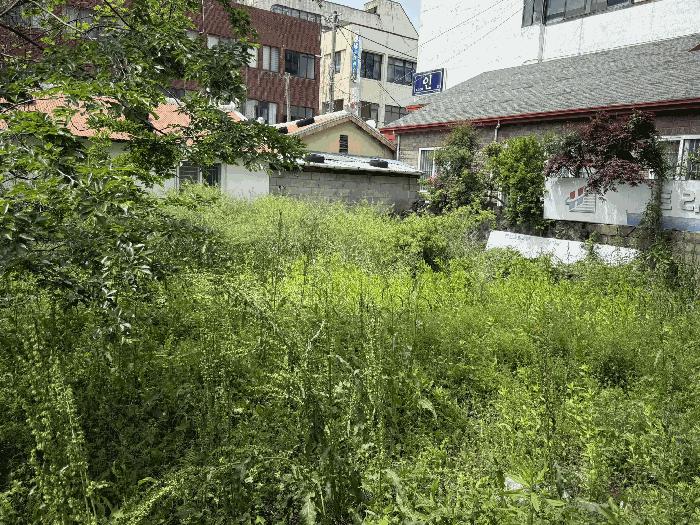 2025타경1164 법원경매 사진4 | 제주 서귀포시 대지 경매
