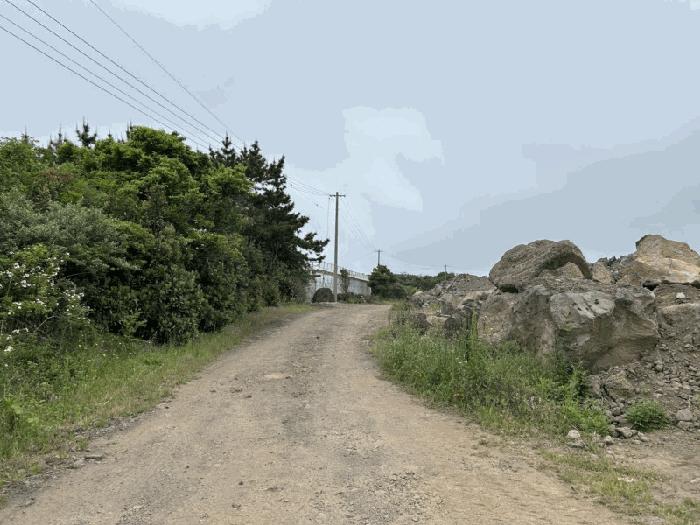 2025타경1244 법원경매 사진2 | 제주 제주시 과수원 경매