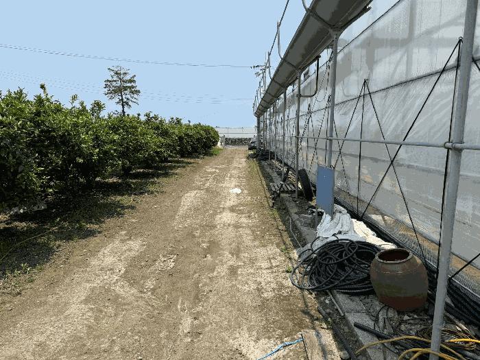 2025타경8035 법원경매 사진4 | 제주 제주시 과수원 경매