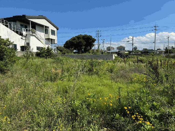 2025타경8341 법원경매 사진3 | 제주 서귀포시 대지 경매