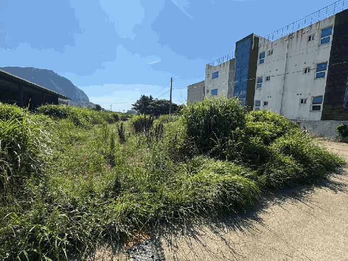 2025타경8341 법원경매 사진8 | 제주 서귀포시 대지 경매