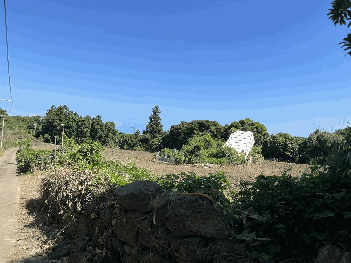 2025타경1410 법원경매 사진6 | 제주 서귀포시 창고 경매