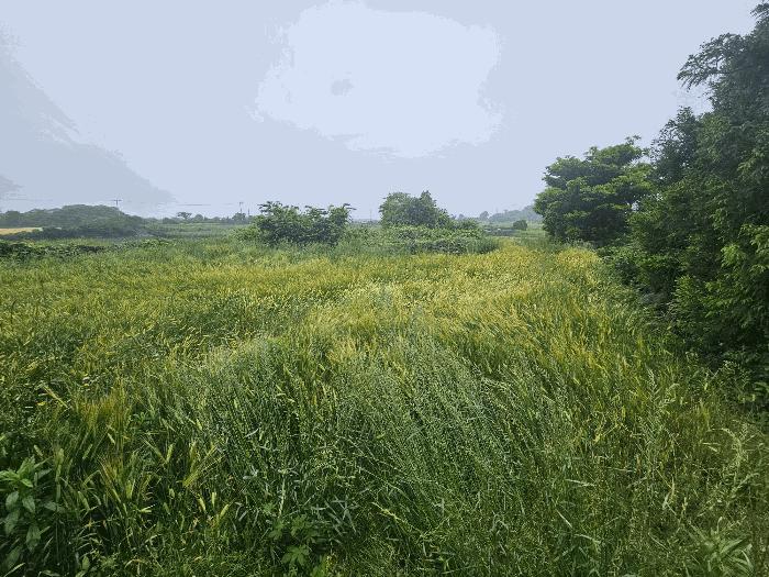 2025타경8068 법원경매 사진2 | 제주 제주시 전 경매