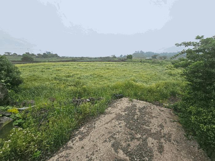 2025타경8068 법원경매 사진3 | 제주 제주시 전 경매