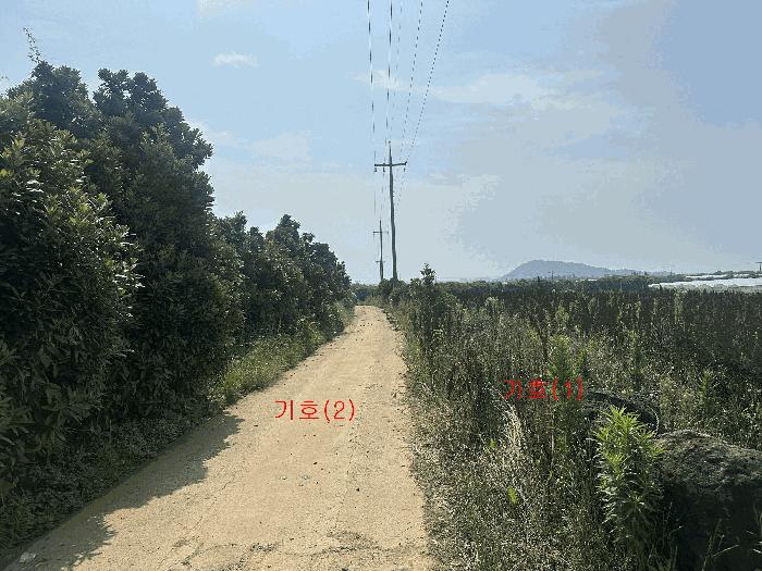 제주 제주시 한경면 조수리 3894-1 전 사진 3