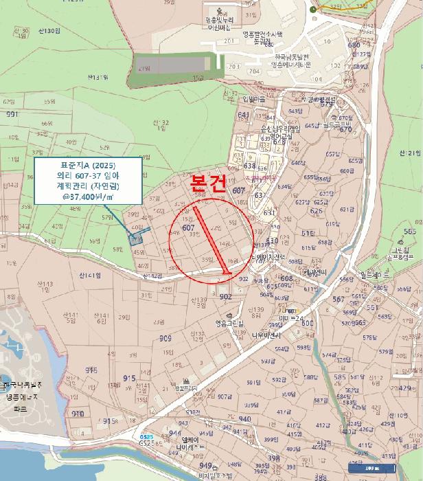 2025타경509041 법원경매 사진8 | 인천 옹진군 임야 경매