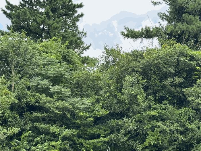 2025타경1631 법원경매 사진2 | 제주 제주시 전 경매