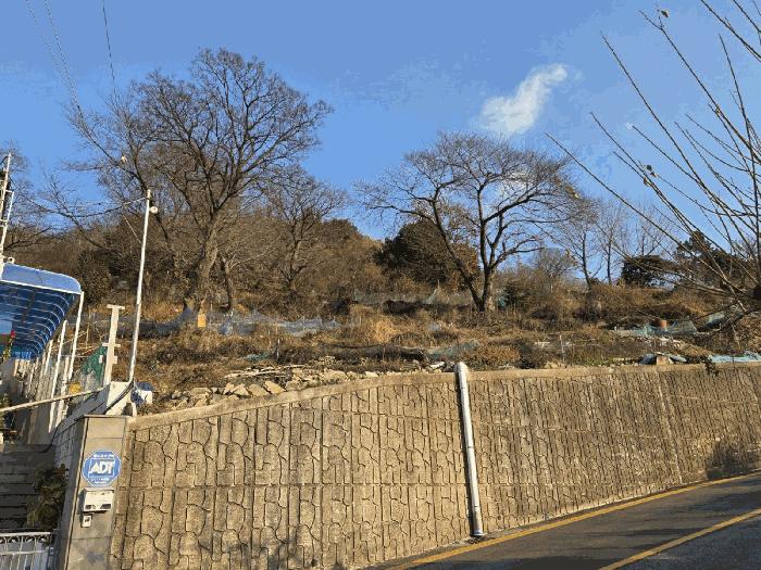 2025타경52390 법원경매 사진3 | 전남 여수시 아파트 경매
