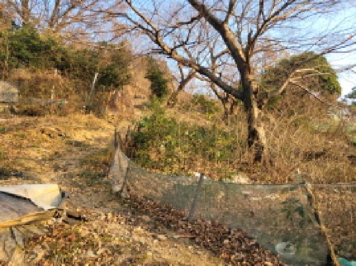 2025타경52390 법원경매 사진18 | 전남 여수시 전 경매