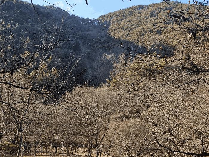 전남 순천시 상사면 비촌리 385 전 사진 3
