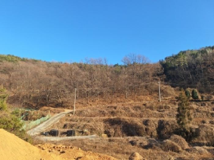 2025타경52543 법원경매 사진18 | 전남 보성군 임야 경매