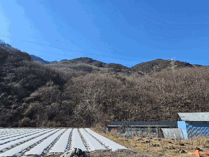 2025타경52543 법원경매 사진6 | 전남 보성군 임야 경매