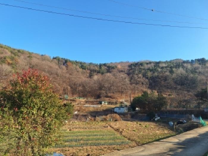 2025타경52543 법원경매 사진16 | 전남 구례군 전 경매