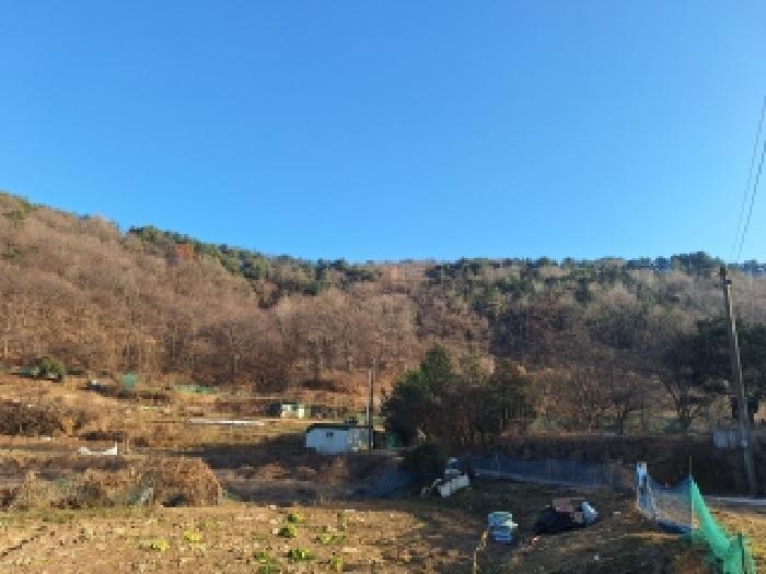 2025타경52543 법원경매 사진19 | 전남 구례군 전 경매