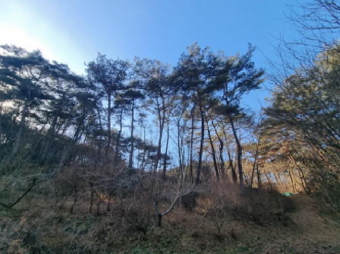 2026타경10 법원경매 사진20 | 전남 순천시 임야 경매