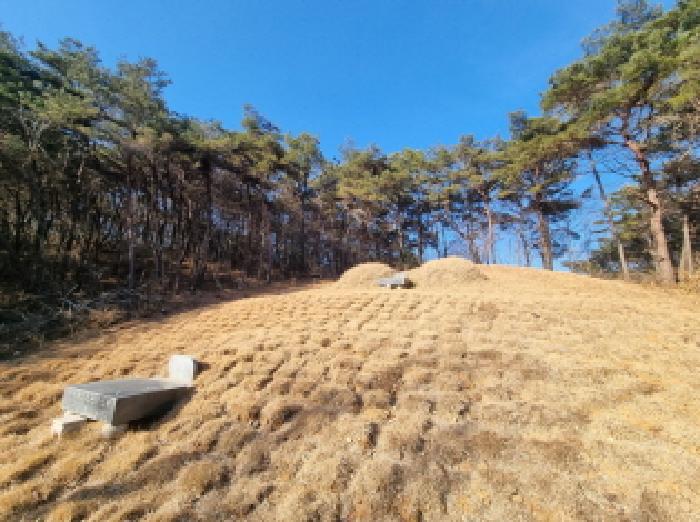 2026타경10 법원경매 사진17 | 전남 순천시 임야 경매