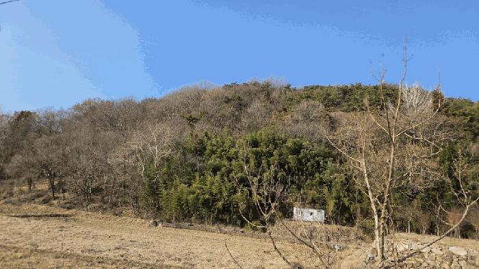 전남 순천시 주암면 궁각리 산88-6 임야 사진 6