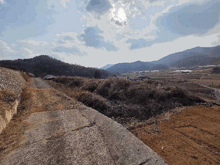 전남 고흥군 도화면 봉룡리 650 전 경매 물건 사진