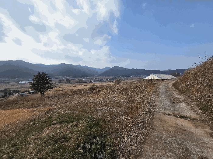 전남 고흥군 도화면 봉룡리 650 전 사진 2