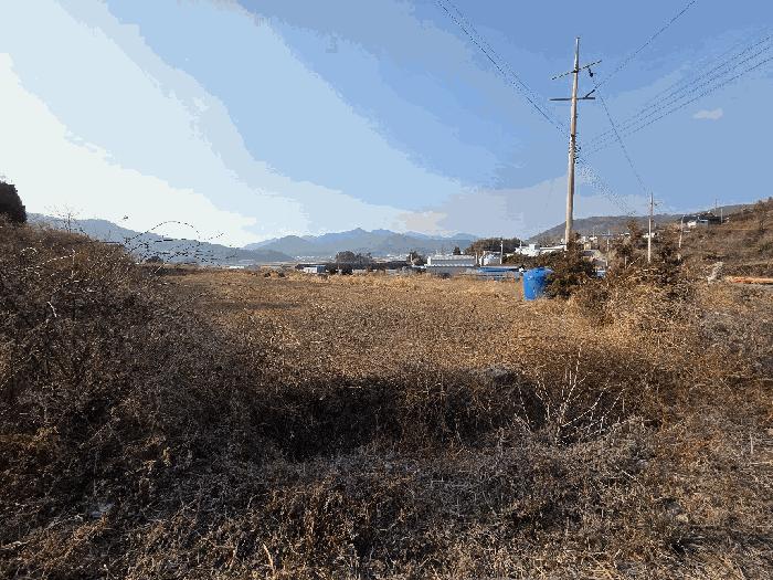 법원경매 2026타경17 사진11 | 고흥군 도화면 봉룡리 1397-5 답 경매