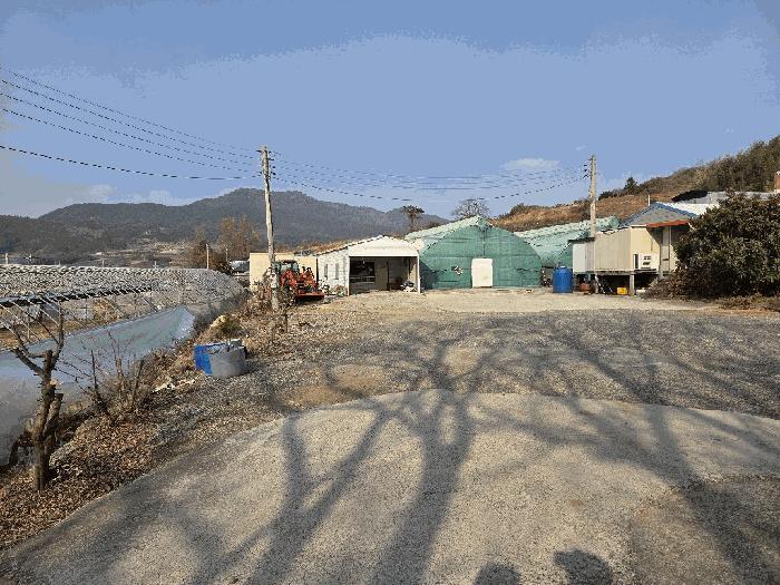 법원경매 2026타경17 사진7 | 고흥군 도화면 봉룡리 1397-5 답 경매