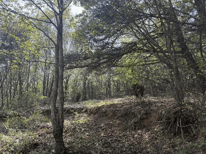 충청남도 서산시 대산읍 화곡리 59-59 법원경매 물건 대표사진