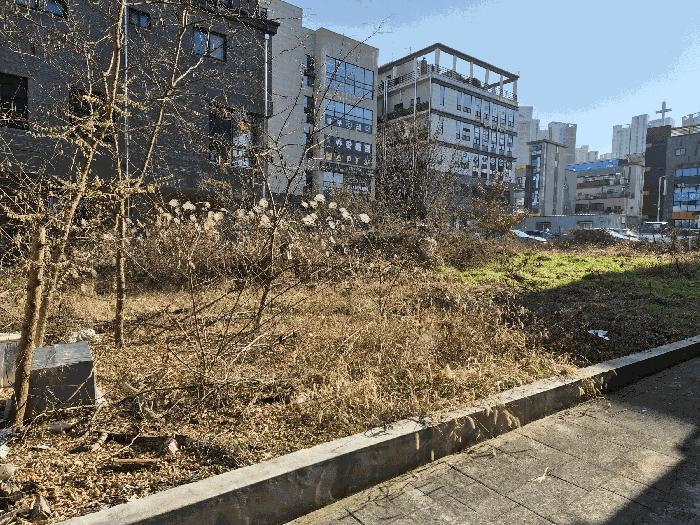 2025타경4026 법원경매 사진4 | 대전 서구 대지 경매