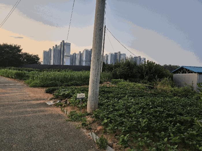 2025타경4730 법원경매 사진2 | 전남 나주시 과수원 경매