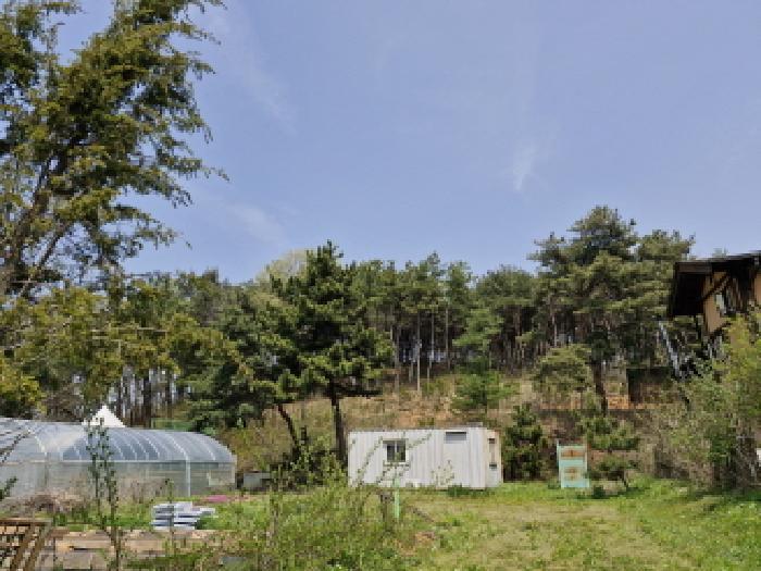 법원경매 2025타경52156 사진5 | 안산시 단원구 대부남동 임야 경매