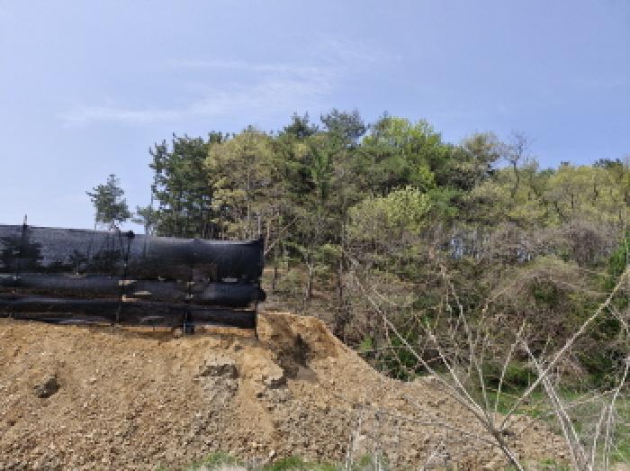 법원경매 2025타경52156 사진9 | 안산시 단원구 대부남동 임야 경매