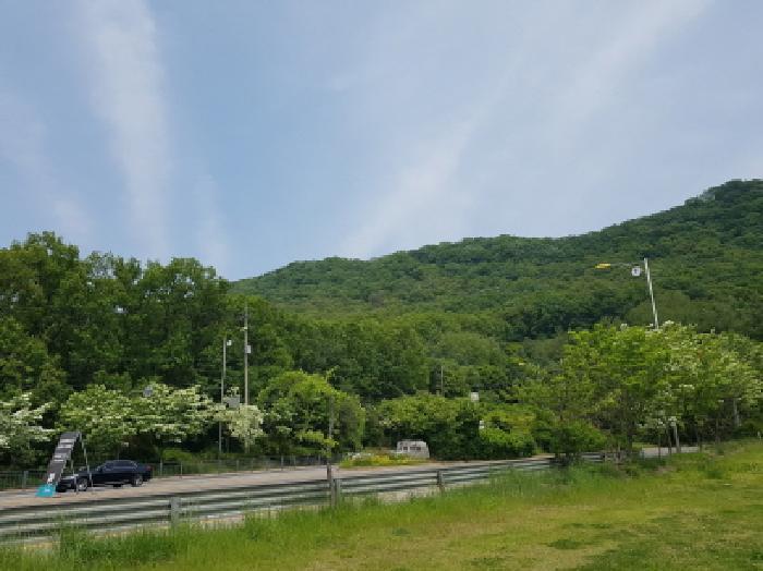 법원경매 2025타경52285 사진4 | 광명시 일직동 임야 경매