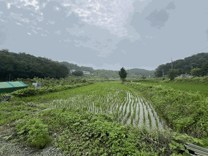 충청남도 당진시 송악읍 월곡리 245 법원경매 물건 대표사진
