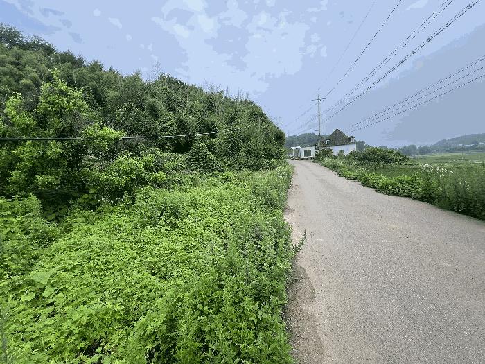2025타경51423 법원경매 사진2 | 충남 당진시 대지,임야,전답 경매