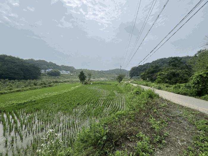 2025타경51423 법원경매 사진4 | 충남 당진시 대지,임야,전답 경매