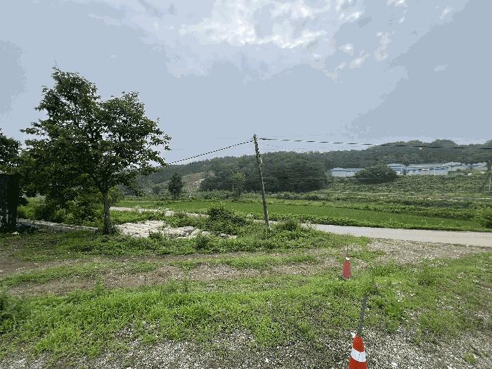 2025타경51423 법원경매 사진9 | 충남 당진시 대지,임야,전답 경매
