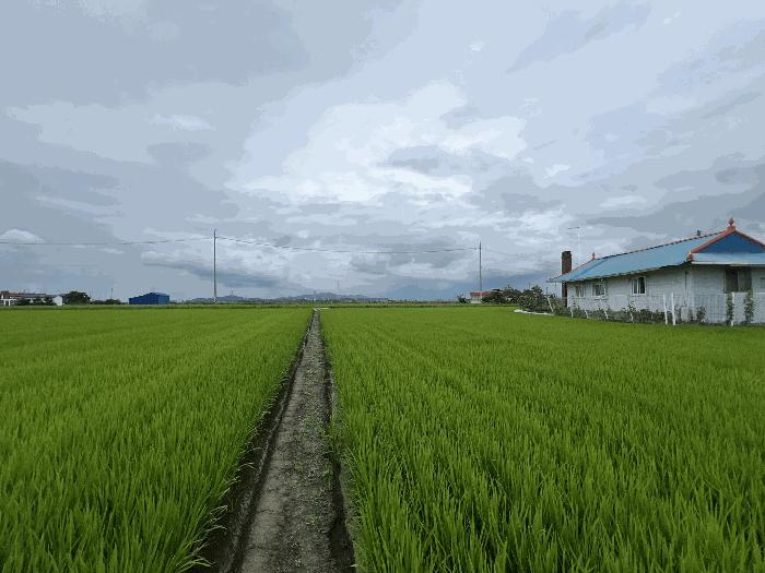2025타경51493 법원경매 사진2 | 충남 당진시 답 경매