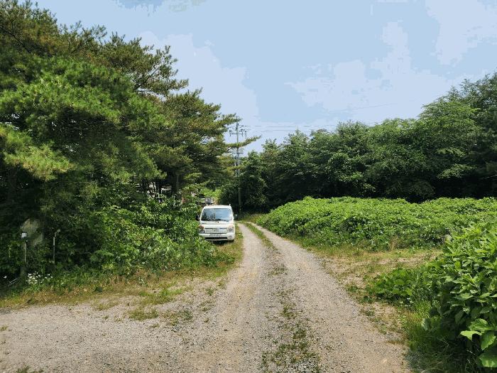 2025타경51497 법원경매 사진10 | 충남 태안군 임야 경매