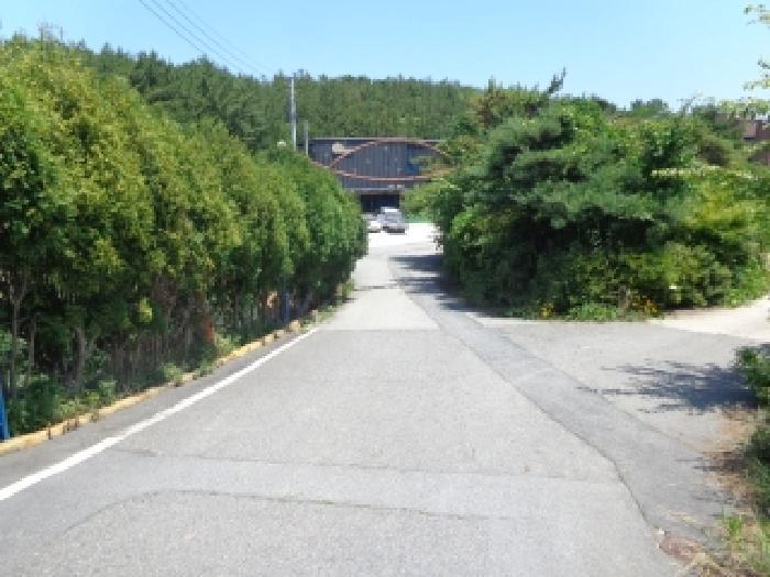 2025타경51497 법원경매 사진12 | 충남 태안군 임야 경매