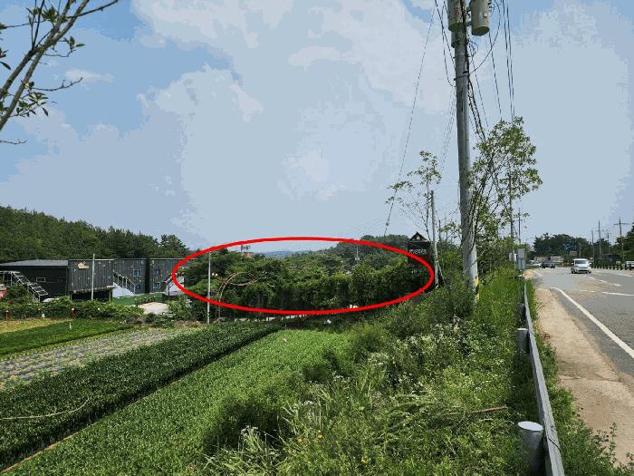 2025타경51497 법원경매 사진2 | 충남 태안군 임야 경매