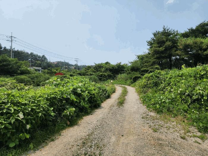 2025타경51497 법원경매 사진4 | 충남 태안군 임야 경매