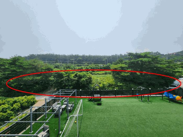 2025타경51497 법원경매 사진5 | 충남 태안군 임야 경매