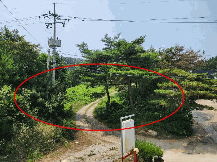 2025타경51497 법원경매 사진7 | 충남 태안군 임야 경매