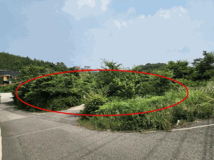 2025타경51497 법원경매 사진9 | 충남 태안군 임야 경매