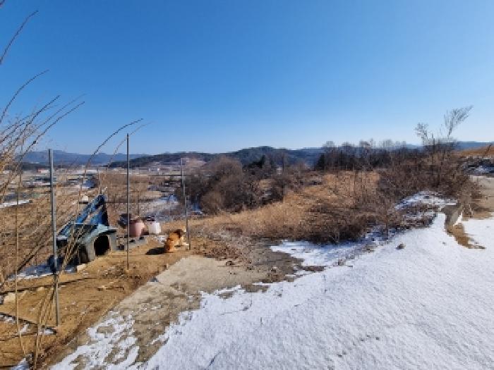 2026타경600042 법원경매 사진11 | 충남 금산군 대지,임야,전답 경매