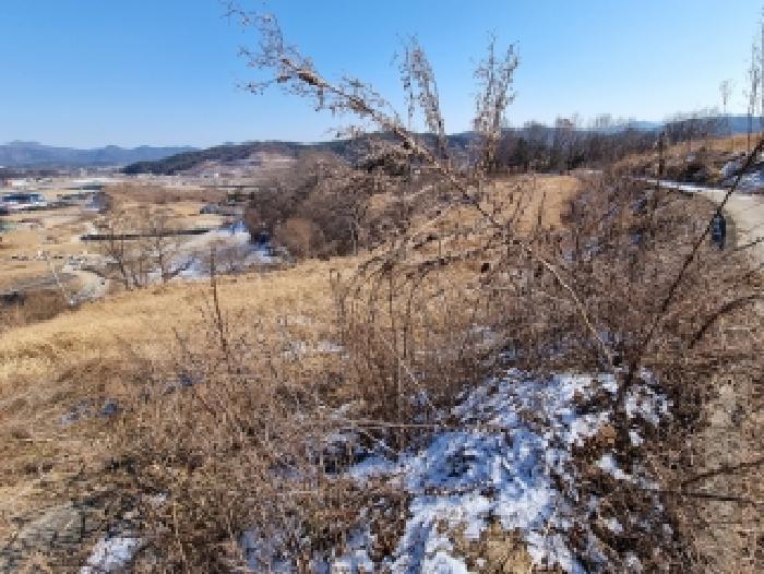 2026타경600042 법원경매 사진13 | 충남 금산군 대지,임야,전답 경매