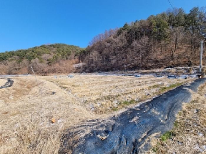 2026타경600042 법원경매 사진17 | 충남 금산군 대지,임야,전답 경매